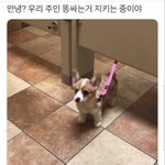 <b>설레</b>는 썰 풀고가