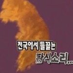 과탐 투과목 3개 하는거 에<b>바야</b>?