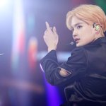 조신한 <b>수달</b>