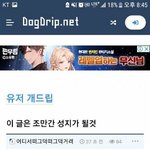 이 <b>성지</b>글들 보ㅓㅆ냐
