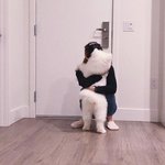 [커넥트] 소속 아티스트 관련 악성 게시물에 대한 <b>법적</b> 대응 공식...