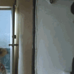 [댓글부탁해] 너네 폰 뭐씀?0?