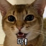 [강다니엘] 고소공지 끌올☺