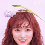 [댓글부탁해] 인스타그램