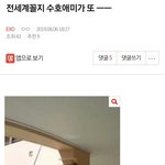 [EXO] ⬇️전세계꼴지 수호<b>애미</b>가 또 ㅡㅡ 여기서봐