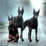 [NCT] <b>성덕</b>아 오늘은 1위해서 봐준다