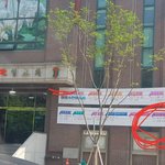 [개깊은빡<b>침</b>] <b>이</b>시국에 일본을 간다고?