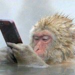 [TXT사진] ++  42,43,44번째 별님8ㅅ8 일기써야디....