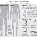 ㅆㅂ 인도에서 자전거탈때 주의좀 해줬으면