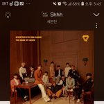 [세븐틴] 신곡 응원법