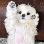 나 수능 <b>백일</b>선물 못받음