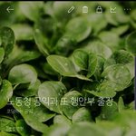 결국 대한민국을 바꿔버린 공익