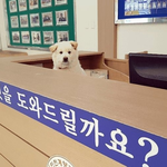 [드루와] <b>하아</b> 설거지 하기 시러