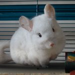 [19] 이제 중1인데 너무 혼자