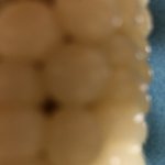 [댓글부탁해] 옥수수<b>eating</b>