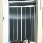 [댓글부탁해] <b>고앵이</b> 보고가셈