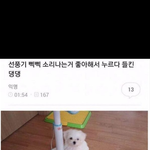 <b>송형준</b> 맨투맨짤....