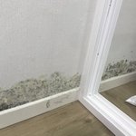 [꼭조언부탁] 집<b>주인</b>이랑 큰싸움이 될거같아요.. 도와주세요 ㅠㅠ