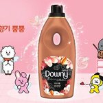 [모두드루와] 방탄이 사용한다고 화제된 '다우니 어도<b>러블</b>