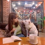 유기견 유기묘 키우고 있는 연예인