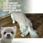 너무 더운 뙤약볕의 시골길에 버려진 아이 너무도 뜨거운 날이었습니다...