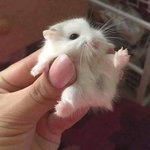 [댓글부탁해] 비싸고 존1나 좋은 <b>파데</b> ㅊㅊ좀ㅠㅠ