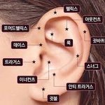 [드루와] 피어싱 한 판녀 잇니..