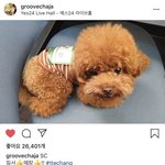 [EXO] 용매도 좋았나봄ㅋㅋㅋㅋㅋ