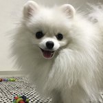 김밥천국 <b>혼밥</b> 하기에 ㄱㅊ아?