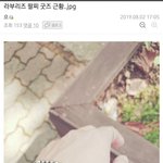 아이돌 <b>굿즈</b> 근황