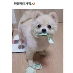 [댓글부탁해] 너넨 <b>최악</b>의 열애설이 뭔거 같음?