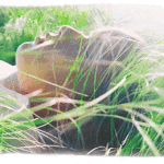 [강다니엘] 강다니엘 <b>KT</b>광고 영화관에도 온에어됐나봐 ꉂꉂ(·•︠...