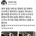 <b>더위</b>먹고 충격먹은 멍멍이