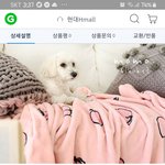 [드루와] 얘들아 이 <b>담요</b> 괜춘..? 친구 생일선물인데 너네가 받으면...