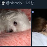[TXT사진] *막간 알림*  (수정)