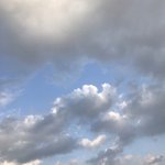 [ㅈㄱㄴ] 내 친구 <b>사</b>주볼 <b>줄</b> 아는데 개신기해