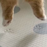 [드루와] <b>BHC</b> 치즈볼 있잖아