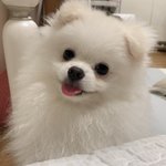 [댓글부탁해] <b>아이돌</b> <b>팬</b>들아 이건 어떻게 생각함