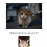 [댓글부탁해] 서포터즈 모델 구한다는게 <b>뭔</b><b>말</b>임?