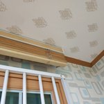 모기 <b>잡다</b> 발견한 사마귀