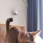 [강다니엘] 어제 강<b>오리</b> 생일이었대 알고있었어?