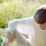 [강다니엘] 왜 해시에 댕댕이분양사기 썼는지 알겠어ㅋㅋㅋㅋ