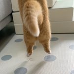 아이폰인 애들아 너네 이어폰 <b>볼륨</b>