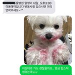 나 립 진짜 소나무 취향임ㅋㅋㅋㅋㅋ