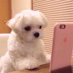 [댓글부탁해] <b>NCT</b> 드림 음색 구분 잘 돼??