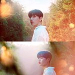 [강다니엘] ㅅㄷ) 어제 너무 팡팡터져서