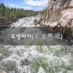 [힘이되어줘] 우생<b>마사</b>(牛生馬死)~
