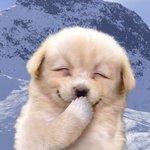 [드루와] <b>오모리</b> 김치찌개