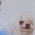 <b>특성</b>화고 다니는사람 들어와바