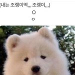 [19] 나 번호따간애랑 <b>영화</b>본다던 쓰닌데